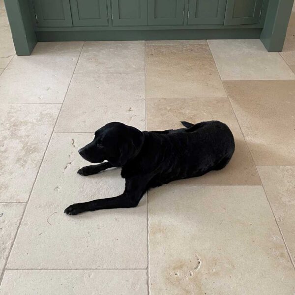 French white antiqued limestone kitchen floor